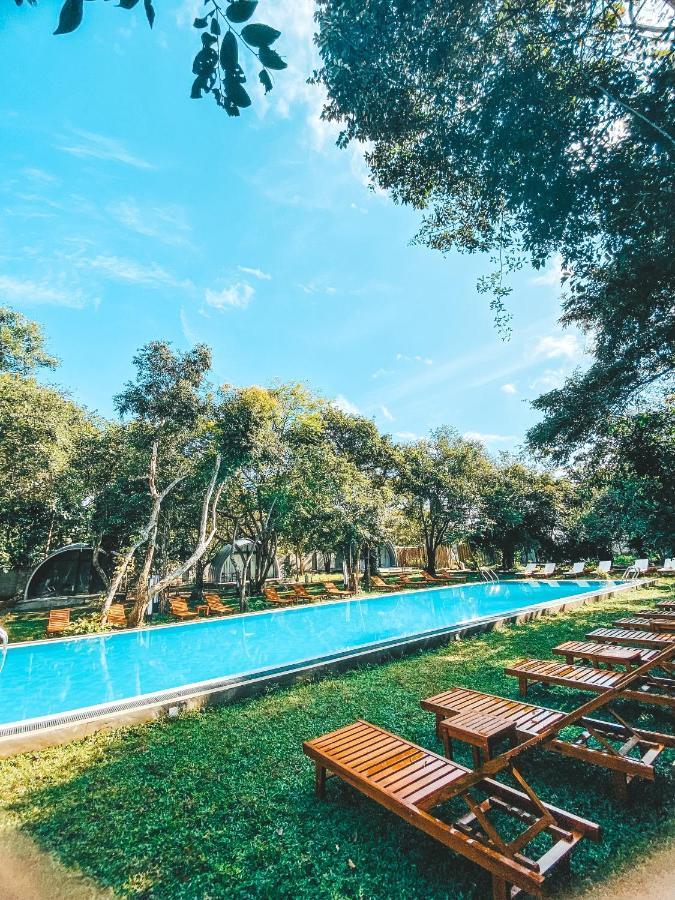 Nivadoo Resort Sigiriya Dış mekan fotoğraf