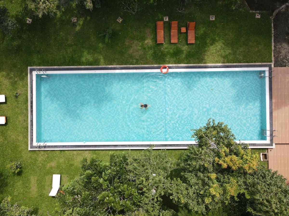 Nivadoo Resort Sigiriya Dış mekan fotoğraf Aerial view of a swimming pool